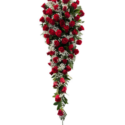 Lágrima-rosas-rojas-by-Floraila