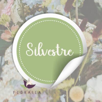 Ramo del Florista SILVESTRE by Floraila